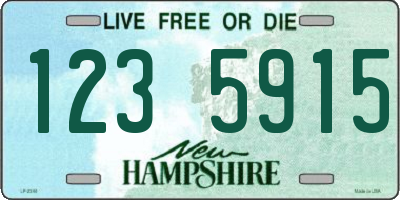 NH license plate 1235915
