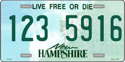 NH license plate 1235916