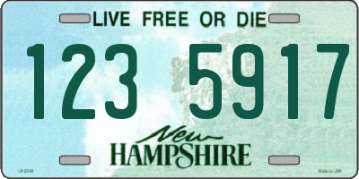 NH license plate 1235917