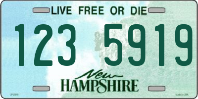 NH license plate 1235919