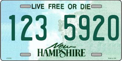 NH license plate 1235920