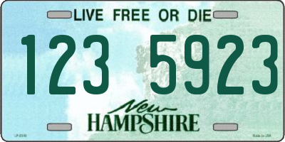 NH license plate 1235923
