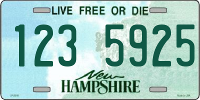 NH license plate 1235925