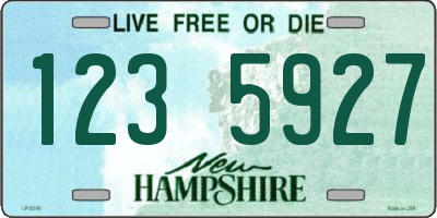 NH license plate 1235927