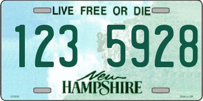 NH license plate 1235928