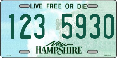 NH license plate 1235930