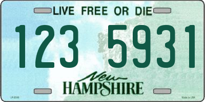 NH license plate 1235931