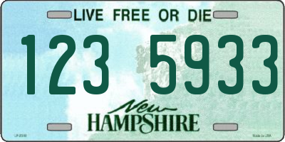 NH license plate 1235933