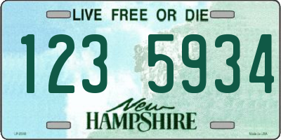 NH license plate 1235934