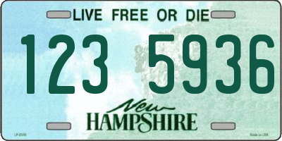 NH license plate 1235936