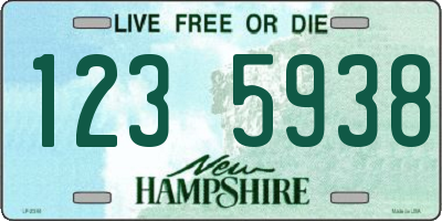 NH license plate 1235938