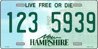 NH license plate 1235939