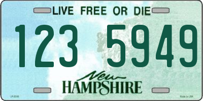 NH license plate 1235949