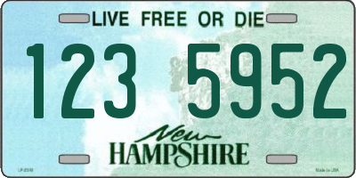 NH license plate 1235952
