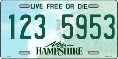 NH license plate 1235953