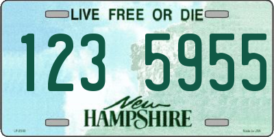 NH license plate 1235955