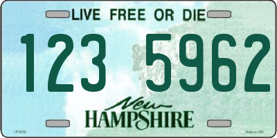 NH license plate 1235962