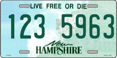 NH license plate 1235963