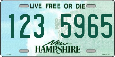 NH license plate 1235965