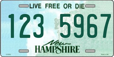 NH license plate 1235967