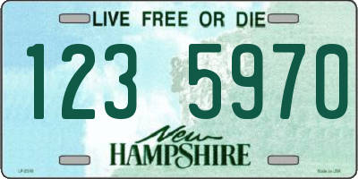 NH license plate 1235970
