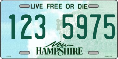 NH license plate 1235975