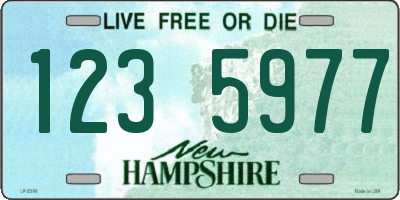 NH license plate 1235977