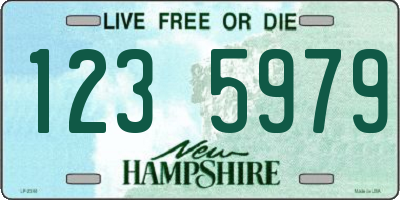 NH license plate 1235979