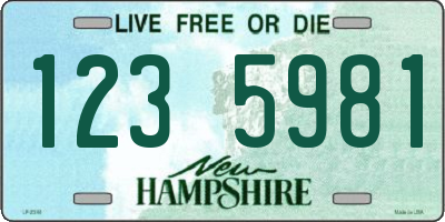 NH license plate 1235981