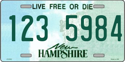 NH license plate 1235984
