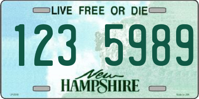NH license plate 1235989