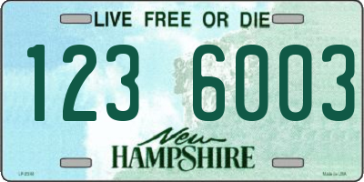 NH license plate 1236003