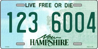 NH license plate 1236004
