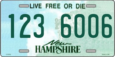 NH license plate 1236006