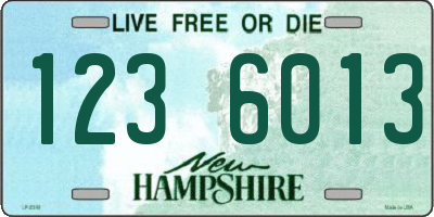 NH license plate 1236013