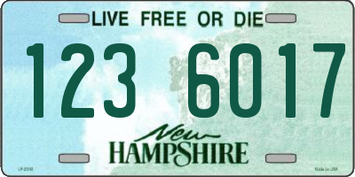 NH license plate 1236017