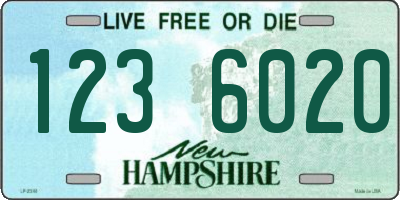 NH license plate 1236020