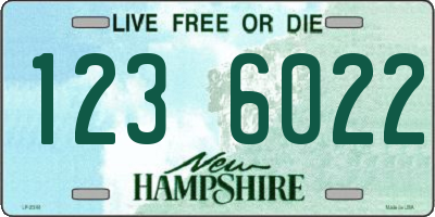NH license plate 1236022