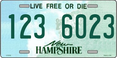 NH license plate 1236023