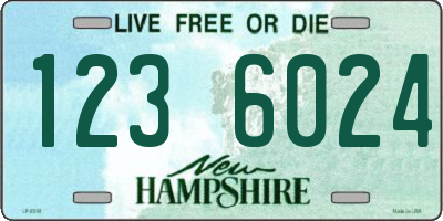 NH license plate 1236024