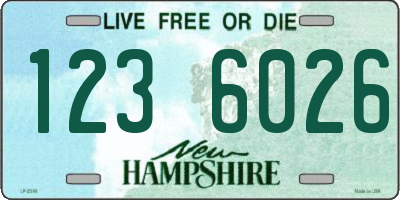 NH license plate 1236026