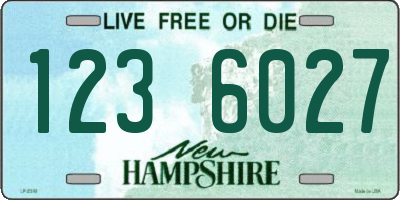 NH license plate 1236027