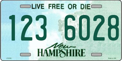 NH license plate 1236028