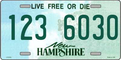 NH license plate 1236030