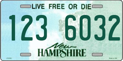 NH license plate 1236032