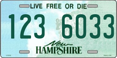 NH license plate 1236033