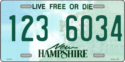 NH license plate 1236034