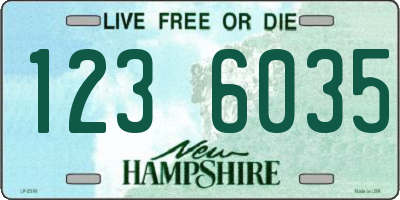 NH license plate 1236035