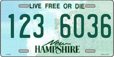 NH license plate 1236036