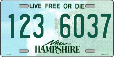 NH license plate 1236037